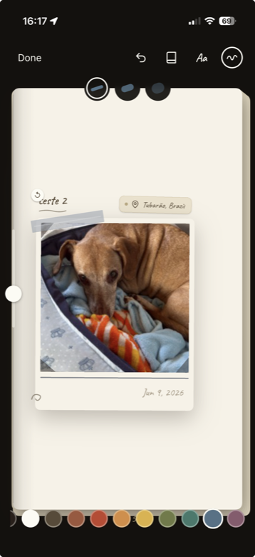 A memory being decorated — a Polaroid of a dog, with handwritten caption and a place tag